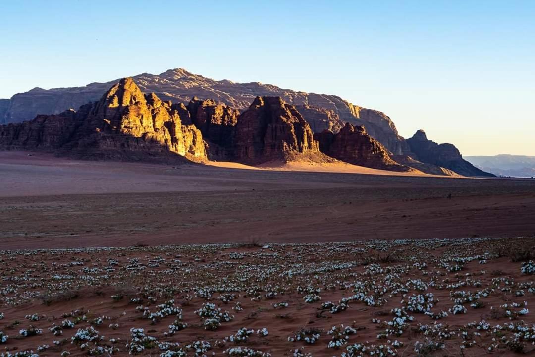 Wadi Rum Moon Camp Εξωτερικό φωτογραφία